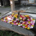 実際訪問したユーザーが直接撮影して投稿した馬場町神社荘内神社の写真