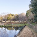 実際訪問したユーザーが直接撮影して投稿した自由ヶ丘公園自由ヶ丘公園の写真