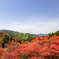 実際訪問したユーザーが直接撮影して投稿した櫛羅山 / 峠葛城山の写真