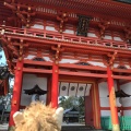 実際訪問したユーザーが直接撮影して投稿した若宮横町神社今宮神社の写真