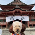 実際訪問したユーザーが直接撮影して投稿した善光寺寺甲斐 善光寺の写真