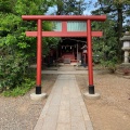 実際訪問したユーザーが直接撮影して投稿した高鼻町神社天津神社の写真