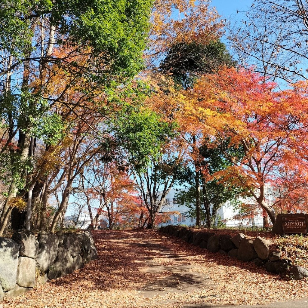 実際訪問したユーザーが直接撮影して投稿した下砥上町フレンチアオヤギの写真