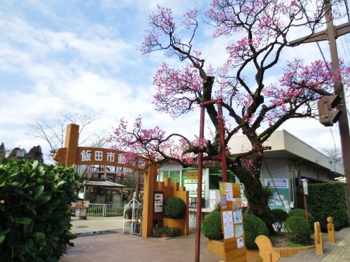 実際訪問したユーザーが直接撮影して投稿した扇町動物園飯田市立動物園の写真