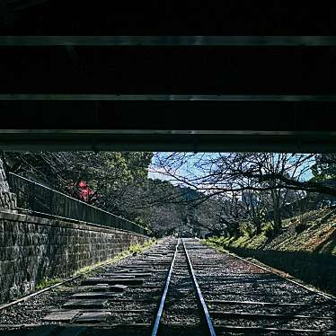 mii_41さんが投稿した東小物座町地域名所のお店蹴上インクライン/ケアゲインクラインの写真