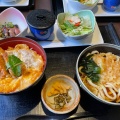 彩御膳ミニヒレかつ丼 - 実際訪問したユーザーが直接撮影して投稿した中央居酒屋徳樹庵 東大和店の写真のメニュー情報