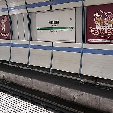 実際訪問したユーザーが直接撮影して投稿した宮城野駅（代表）宮城野原駅 (JR仙石線)の写真