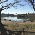 実際訪問したユーザーが直接撮影して投稿した緑地公園湖沼 / 池鶴見緑地大池の写真