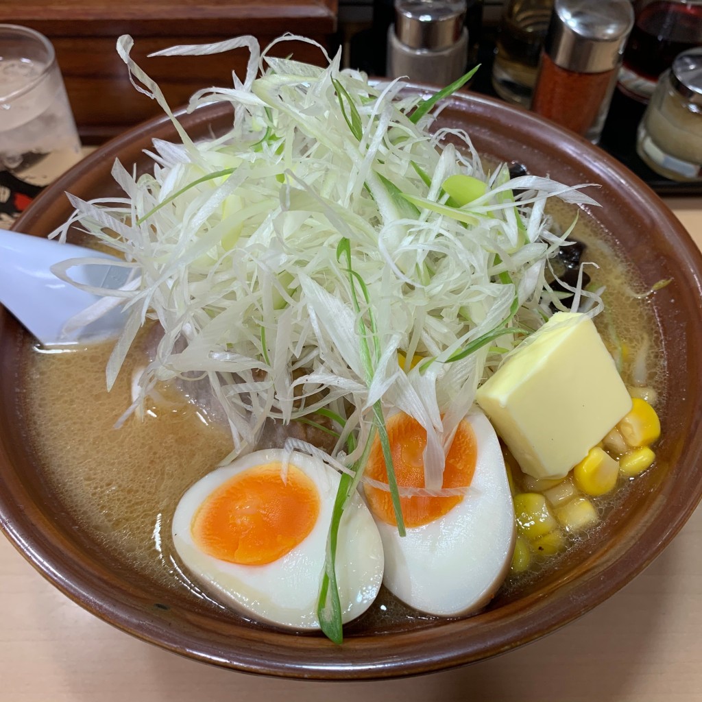 ユーザーが投稿した特製味噌ラーメンの写真 - 実際訪問したユーザーが直接撮影して投稿した北五条西ラーメン専門店アピア洋食・中華ラーメン・ラーメンの寳龍の写真