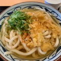 かけ - 実際訪問したユーザーが直接撮影して投稿した田中町うどん丸亀製麺 昭島モリタウン店の写真のメニュー情報