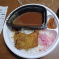 カレー並弁当 - 実際訪問したユーザーが直接撮影して投稿した上穂北牛丼すき家 駒ヶ根店の写真のメニュー情報