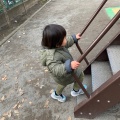 実際訪問したユーザーが直接撮影して投稿した旗の台神社旗岡八幡神社の写真