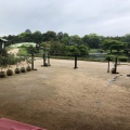 実際訪問したユーザーが直接撮影して投稿した後楽園庭園岡山後楽園の写真