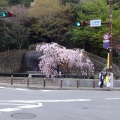 実際訪問したユーザーが直接撮影して投稿した有馬町公園有馬川親水公園の写真