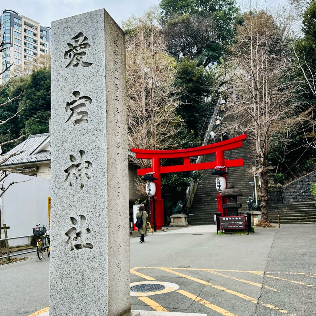 実際訪問したユーザーが直接撮影して投稿した愛宕地域名所愛宕神社 大鳥居の写真