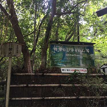 みみみぃみさんが投稿した嵯峨野宮ノ元町神社のお店野宮神社/ノノミヤジンジャの写真