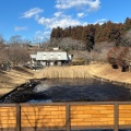 実際訪問したユーザーが直接撮影して投稿した静公園静峰ふるさと公園の写真