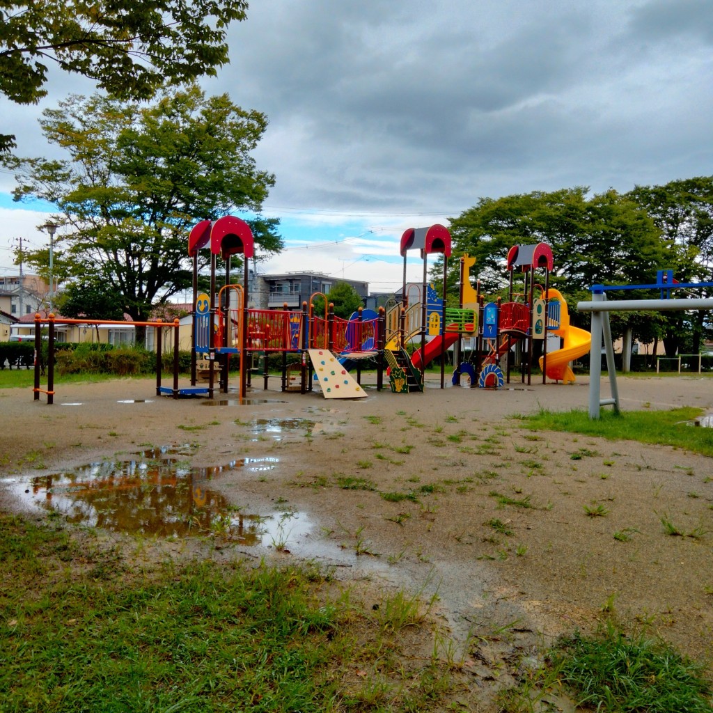 実際訪問したユーザーが直接撮影して投稿した桑野公園大島中央公園の写真