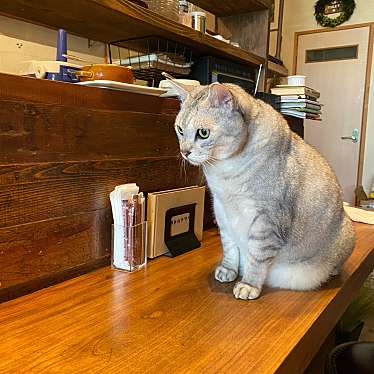 美味しいもの食べて生きるさんが投稿した則武新町カフェのお店コーヒーと本とレコードの店 リトルトリー/コーヒートホントレコードノミセ リトルトリーの写真