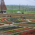 実際訪問したユーザーが直接撮影して投稿した布施公園あけぼの山農業公園の写真