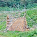 実際訪問したユーザーが直接撮影して投稿した白米町景勝地 / 百選白米千枚田の写真