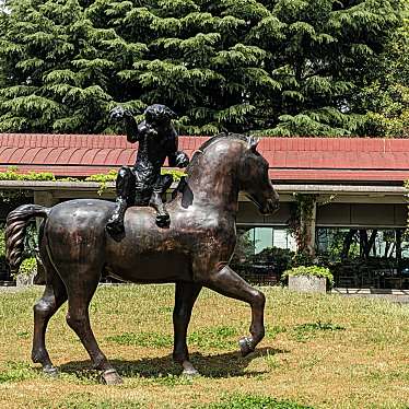 砧公園のundefinedに実際訪問訪問したユーザーunknownさんが新しく投稿した新着口コミの写真