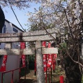 実際訪問したユーザーが直接撮影して投稿した雪谷大塚町神社大塚稲荷神社の写真