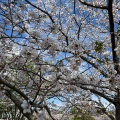 実際訪問したユーザーが直接撮影して投稿した中山町公園鹿児島ふれあいスポーツランドの写真