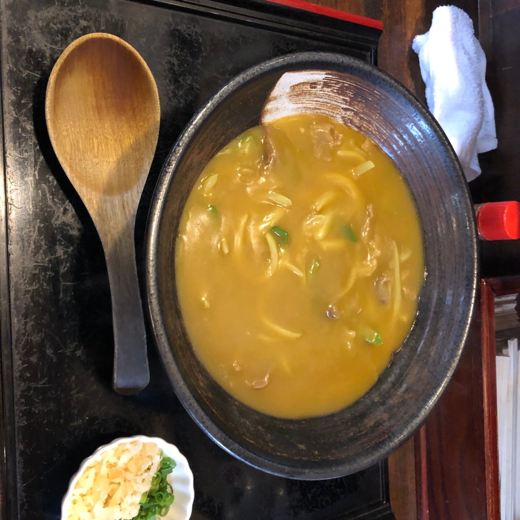 ユーザーが投稿した肉カレーうどんの写真 - 実際訪問したユーザーが直接撮影して投稿した川井町うどん大にしの写真