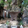 実際訪問したユーザーが直接撮影して投稿した下荒田神社荒田八幡宮の写真