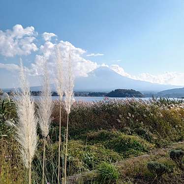 実際訪問したユーザーが直接撮影して投稿した大石公園湖畔の公園の写真