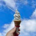 実際訪問したユーザーが直接撮影して投稿した定食屋見晴茶屋の写真