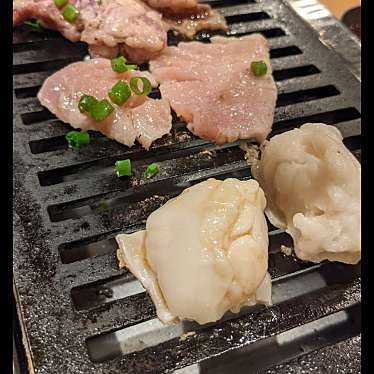 実際訪問したユーザーが直接撮影して投稿した木月焼肉ふたご 元住吉店の写真