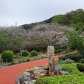 実際訪問したユーザーが直接撮影して投稿した土肥歴史 / 遺跡土肥金山の写真