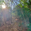 実際訪問したユーザーが直接撮影して投稿した土田山 / 峠鳩吹山の写真