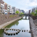 実際訪問したユーザーが直接撮影して投稿した魚の町滝 / 渓谷中島川の写真