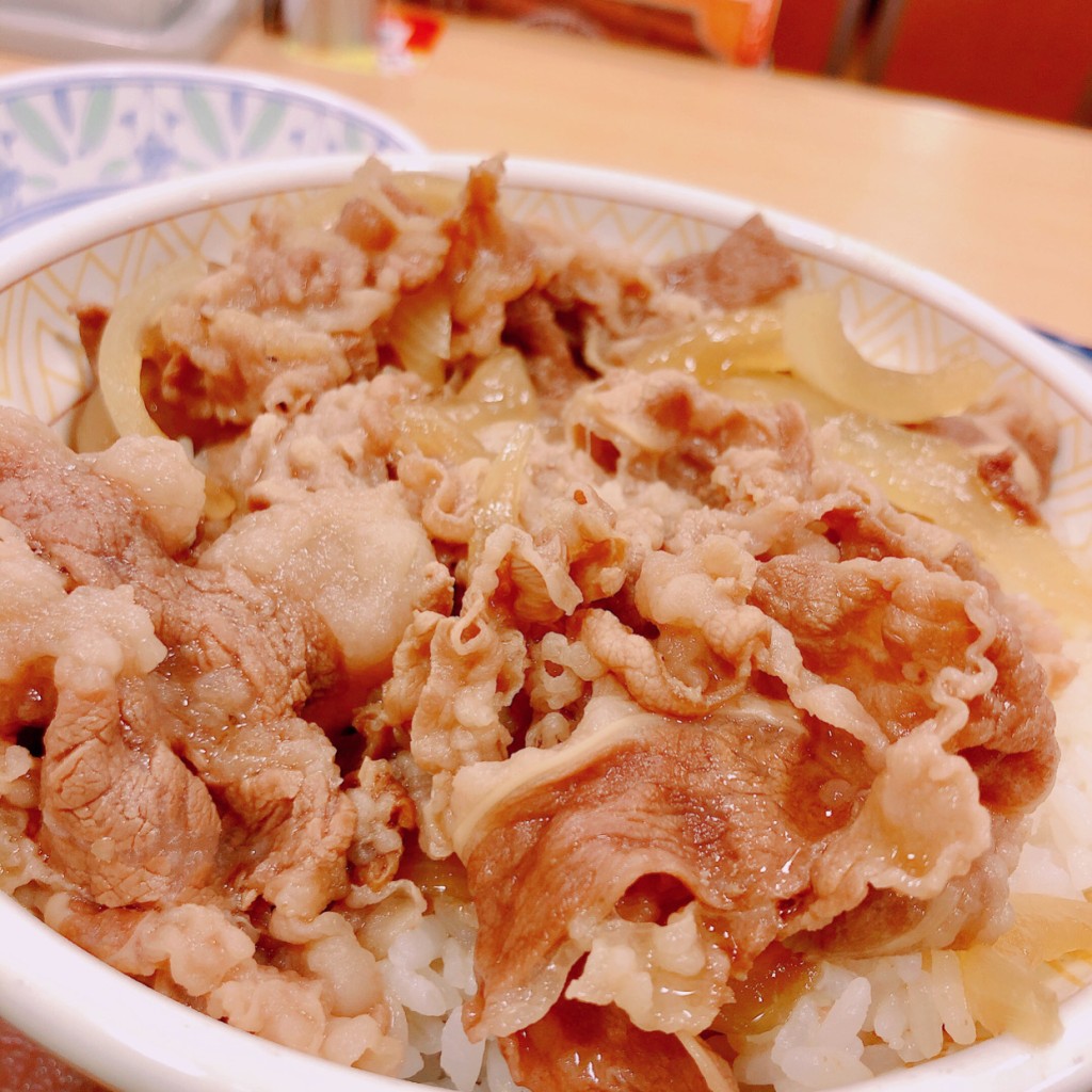 ユーザーが投稿した牛丼の写真 - 実際訪問したユーザーが直接撮影して投稿した富岡牛丼すき家 ライフガーデン新浦安店の写真