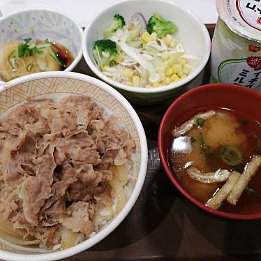 実際訪問したユーザーが直接撮影して投稿した寺台牛丼すき家 成田東店の写真