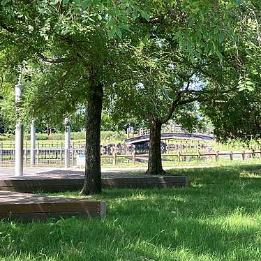 実際訪問したユーザーが直接撮影して投稿したしらさぎ公園しらさぎ公園の写真