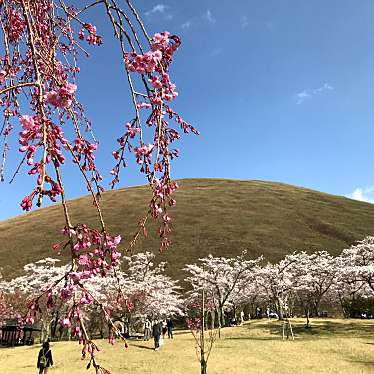 YUN722さんが投稿した富戸公園のお店さくらの里/サクラノサトの写真