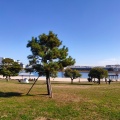 実際訪問したユーザーが直接撮影して投稿した平和島公園平和島公園の写真