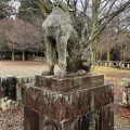 実際訪問したユーザーが直接撮影して投稿した吉野山神社吉野神宮の写真