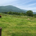 実際訪問したユーザーが直接撮影して投稿した遠刈田温泉観光牧場ふれあい牧場 蔵王ハートランドの写真