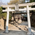 実際訪問したユーザーが直接撮影して投稿した今津上野町神社上野神社の写真