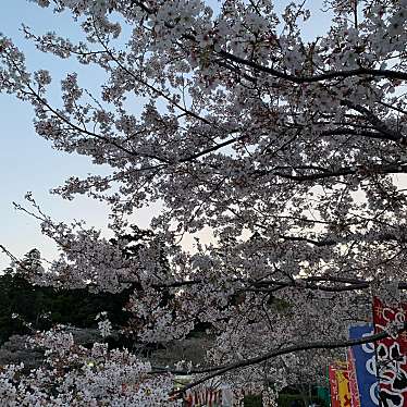 実際訪問したユーザーが直接撮影して投稿した東金公園八鶴湖公園の写真