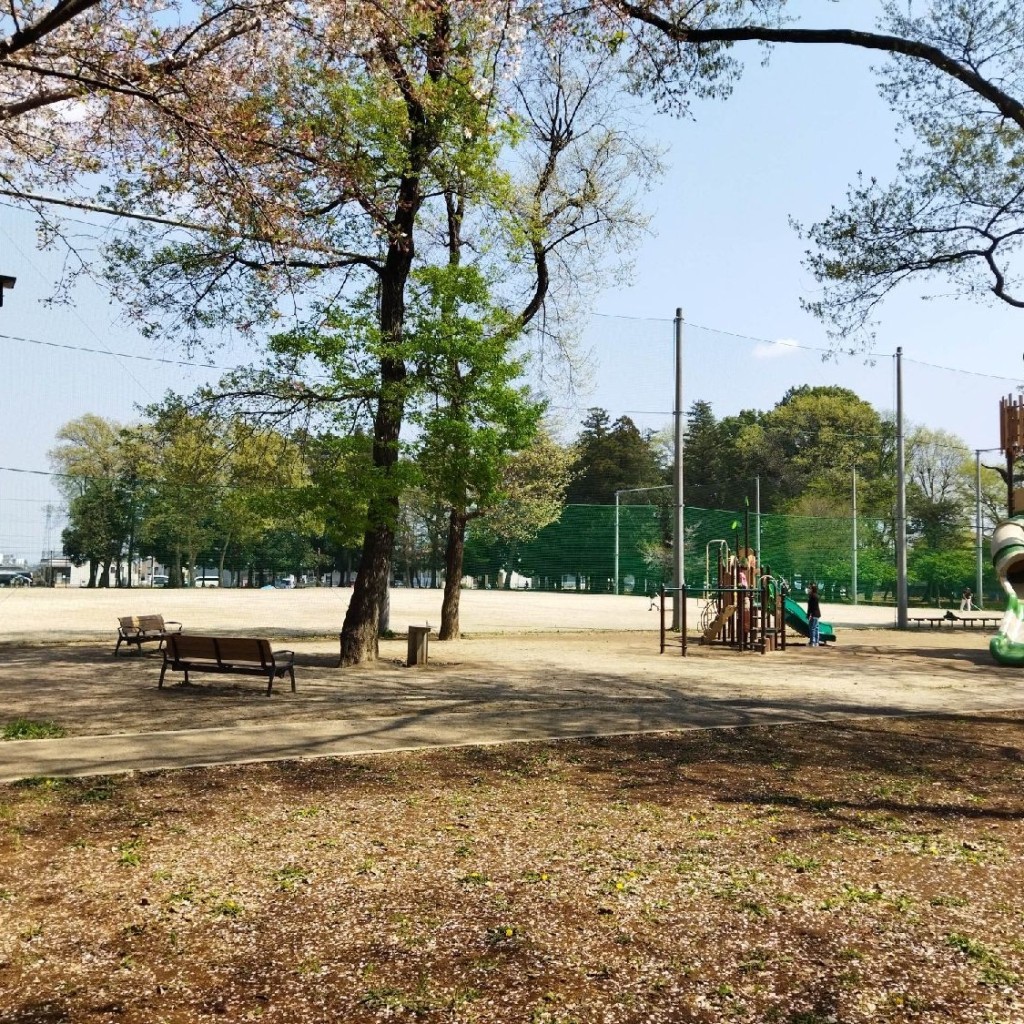 実際訪問したユーザーが直接撮影して投稿した小泉公園小泉氷川山公園の写真