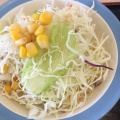 生野菜 - 実際訪問したユーザーが直接撮影して投稿した柞原町牛丼松屋 丸亀柞原店の写真のメニュー情報