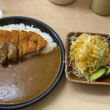 実際訪問したユーザーが直接撮影して投稿した野坂カレーカレーの店 路の写真