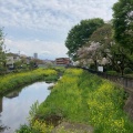 実際訪問したユーザーが直接撮影して投稿した河川野川の写真