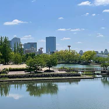 実際訪問したユーザーが直接撮影して投稿した中野町公園大阪ふれあいの水辺の写真